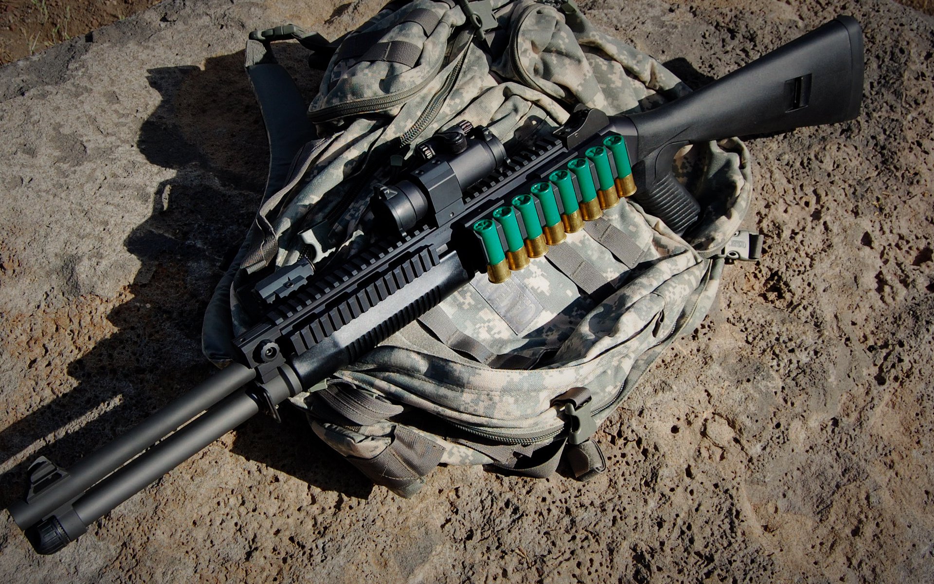 国际马术比赛,骑士与马匹的优雅舞蹈,骑马比赛的视频