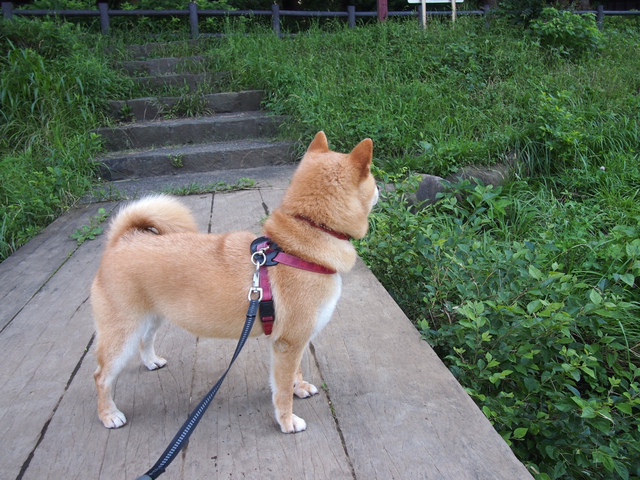 传奇球星离队,欧冠争冠格局或将重新洗牌,欧冠 球星