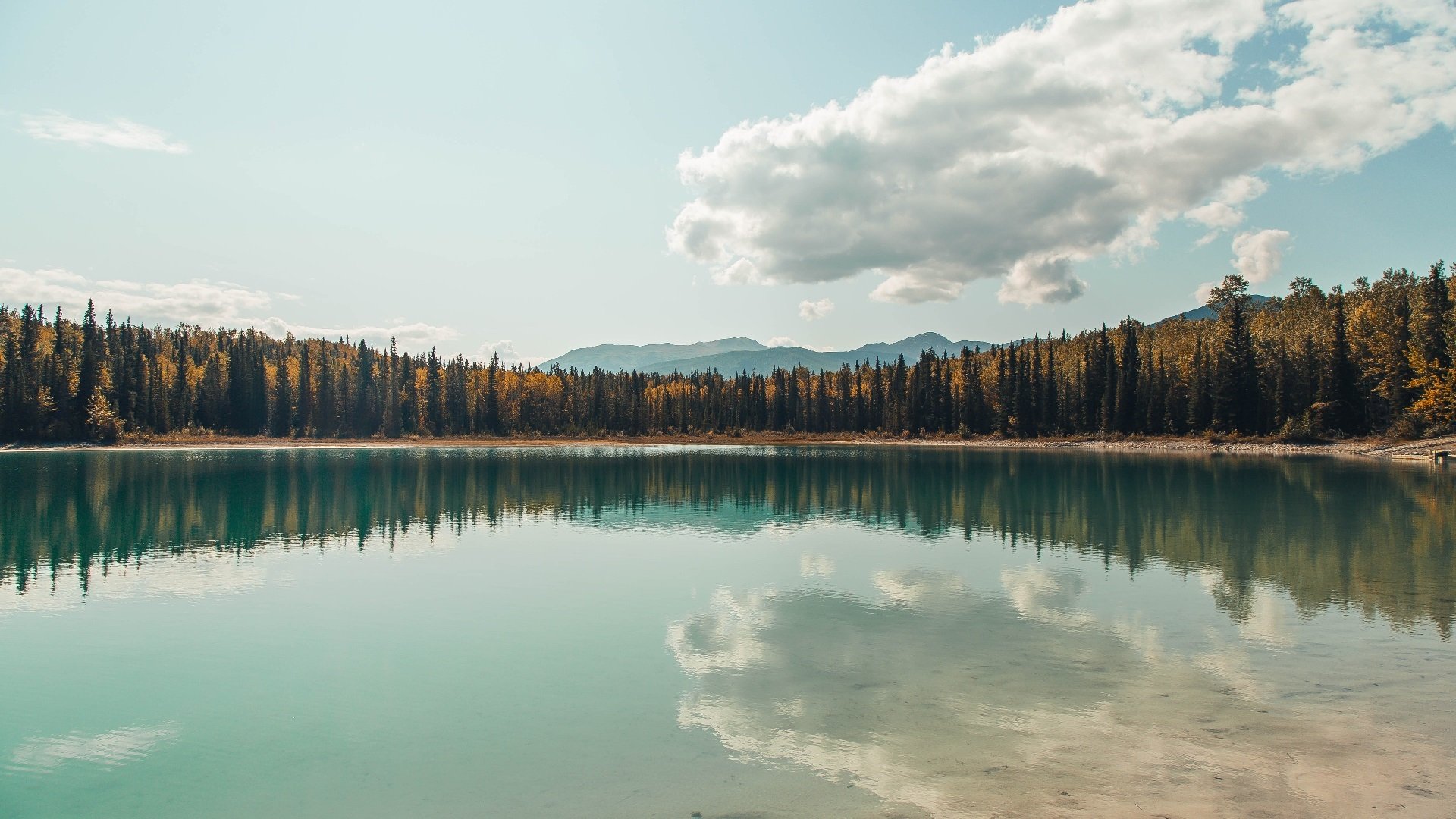 AYX GAME-意甲联赛：拉齐奥奋勇前行，继续压制竞争对手，意甲拉齐奥球衣